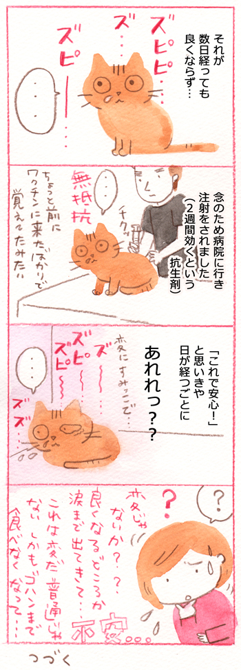 ５２・タレちんの猫風邪１｜イラストレーター・いのうえむつみの 