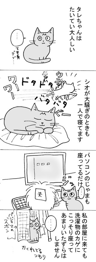 旧猫まんが３１・食い気猫タレちん♪｜イラストレーター・いのうえ 